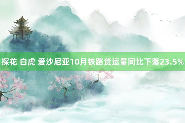 探花 白虎 爱沙尼亚10月铁路货运量同比下落23.5%