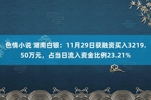 色情小说 湖南白银：11月29日获融资买入3219.50万元，占当日流入资金比例23.21%