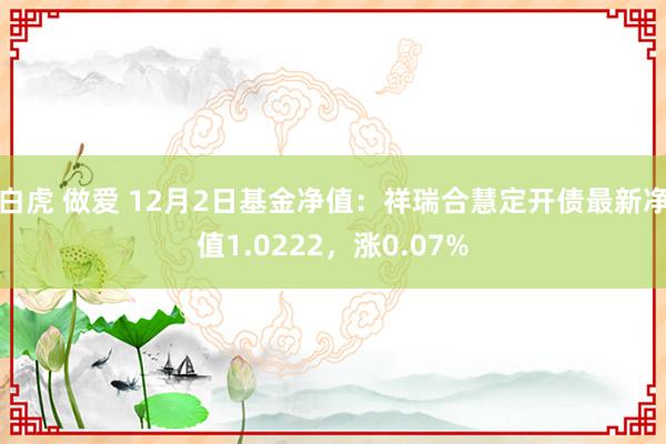 白虎 做爱 12月2日基金净值：祥瑞合慧定开债最新净值1.0222，涨0.07%