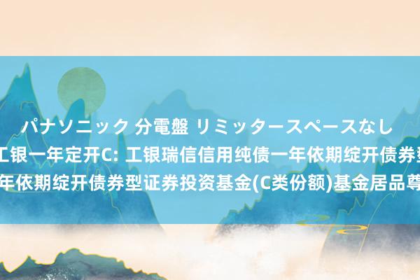 パナソニック 分電盤 リミッタースペースなし 露出・半埋込両用形 工银一年定开C: 工银瑞信信用纯债一年依期绽开债券型证券投资基金(C类份额)基金居品尊府摘抄更新