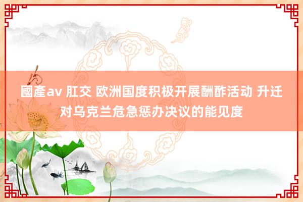 國產av 肛交 欧洲国度积极开展酬酢活动 升迁对乌克兰危急惩办决议的能见度