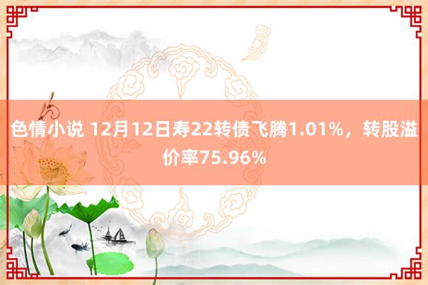 色情小说 12月12日寿22转债飞腾1.01%，转股溢价率75.96%