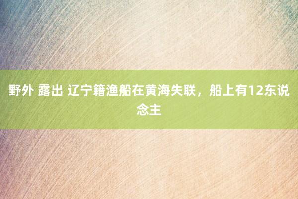 野外 露出 辽宁籍渔船在黄海失联，船上有12东说念主