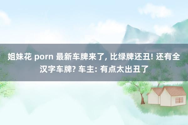 姐妹花 porn 最新车牌来了， 比绿牌还丑! 还有全汉字车牌? 车主: 有点太出丑了