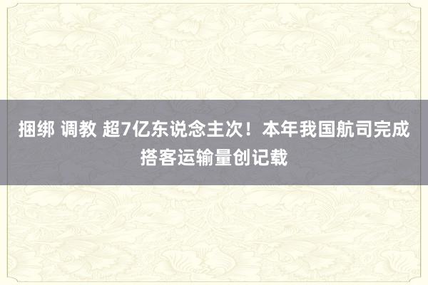 捆绑 调教 超7亿东说念主次！本年我国航司完成搭客运输量创记载