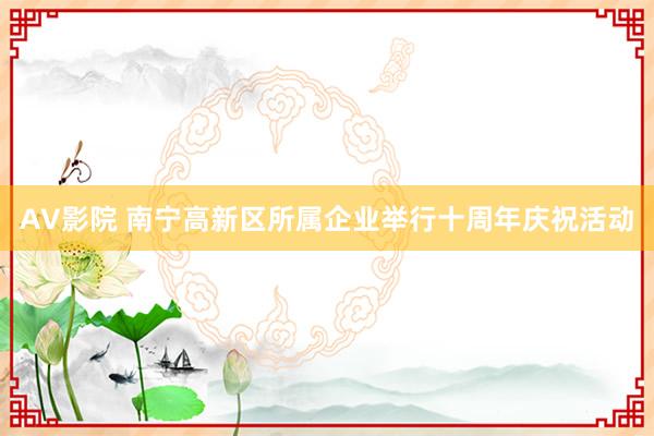 AV影院 南宁高新区所属企业举行十周年庆祝活动