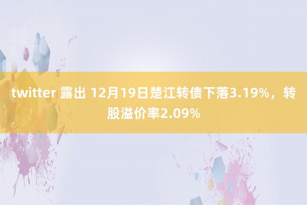 twitter 露出 12月19日楚江转债下落3.19%，转股溢价率2.09%