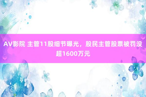 AV影院 主管11股细节曝光，股民主管股票被罚没超1600万元