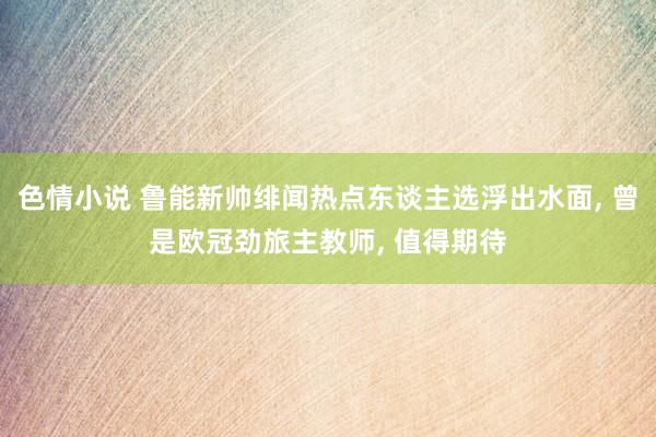 色情小说 鲁能新帅绯闻热点东谈主选浮出水面， 曾是欧冠劲旅主教师， 值得期待