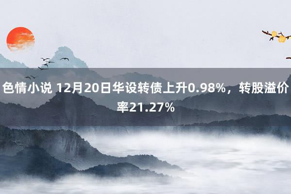 色情小说 12月20日华设转债上升0.98%，转股溢价率21.27%