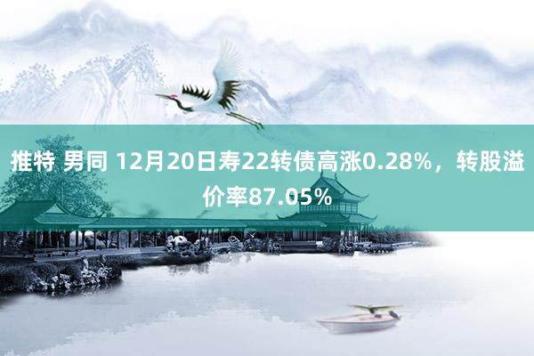 推特 男同 12月20日寿22转债高涨0.28%，转股溢价率87.05%