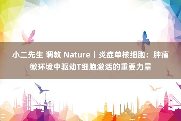 小二先生 调教 Nature丨炎症单核细胞：肿瘤微环境中驱动T细胞激活的重要力量