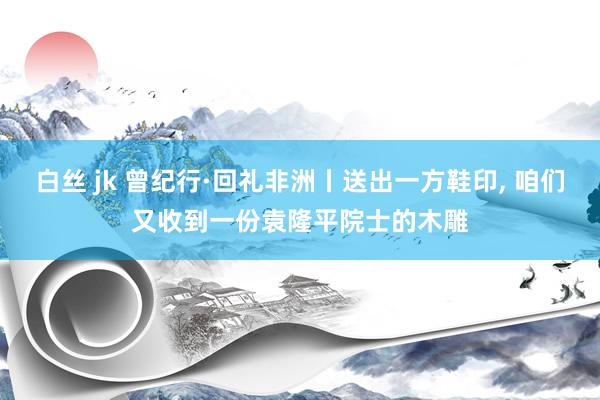 白丝 jk 曾纪行·回礼非洲丨送出一方鞋印， 咱们又收到一份袁隆平院士的木雕