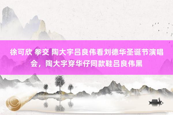 徐可欣 拳交 陶大宇吕良伟看刘德华圣诞节演唱会，陶大宇穿华仔同款鞋吕良伟黑