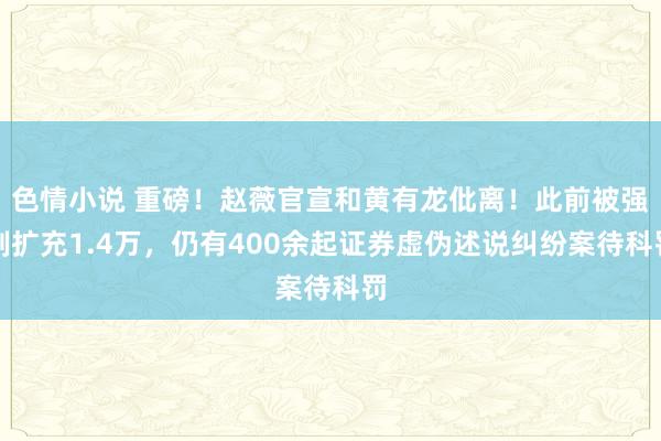 色情小说 重磅！赵薇官宣和黄有龙仳离！此前被强制扩充1.4万，仍有400余起证券虚伪述说纠纷案待科罚