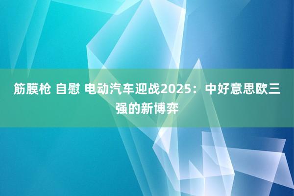 筋膜枪 自慰 电动汽车迎战2025：中好意思欧三强的新博弈