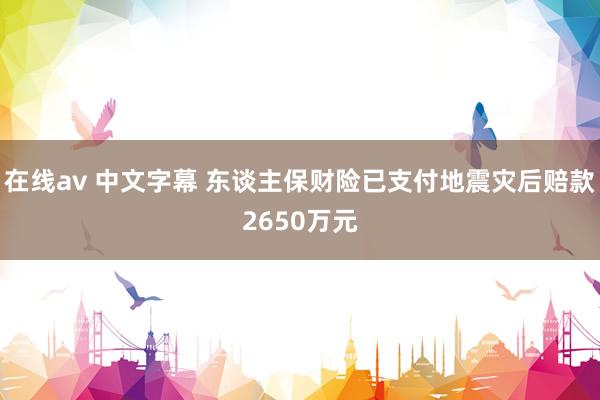 在线av 中文字幕 东谈主保财险已支付地震灾后赔款2650万元