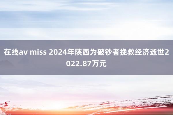 在线av miss 2024年陕西为破钞者挽救经济逝世2022.87万元