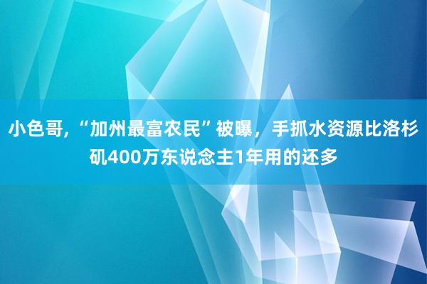 小色哥， “加州最富农民”被曝，手抓水资源比洛杉矶400万东说念主1年用的还多